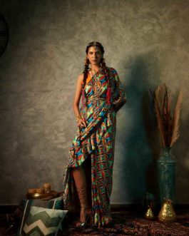 Big Square Printed Saree